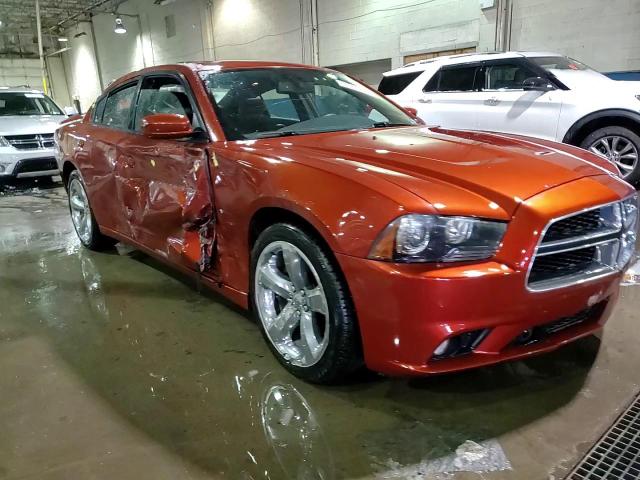 2013 Dodge Charger VIN 2C3CDXCT8DH595816 Copart auction photo, side / vandalism damage thumbnail 13