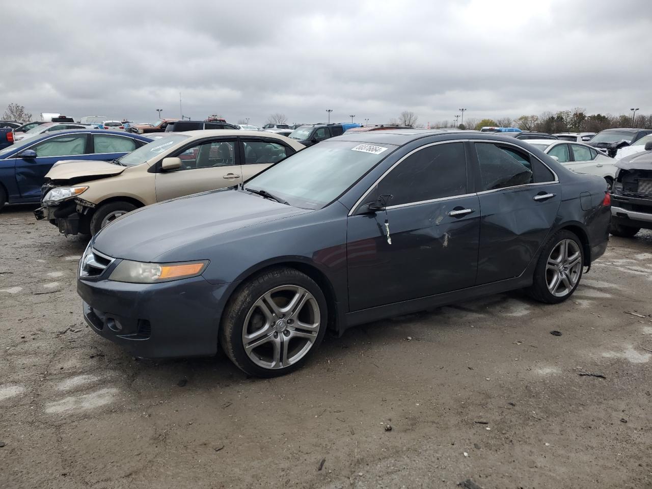 2006 Acura TSX VIN JH4CL96986C019755