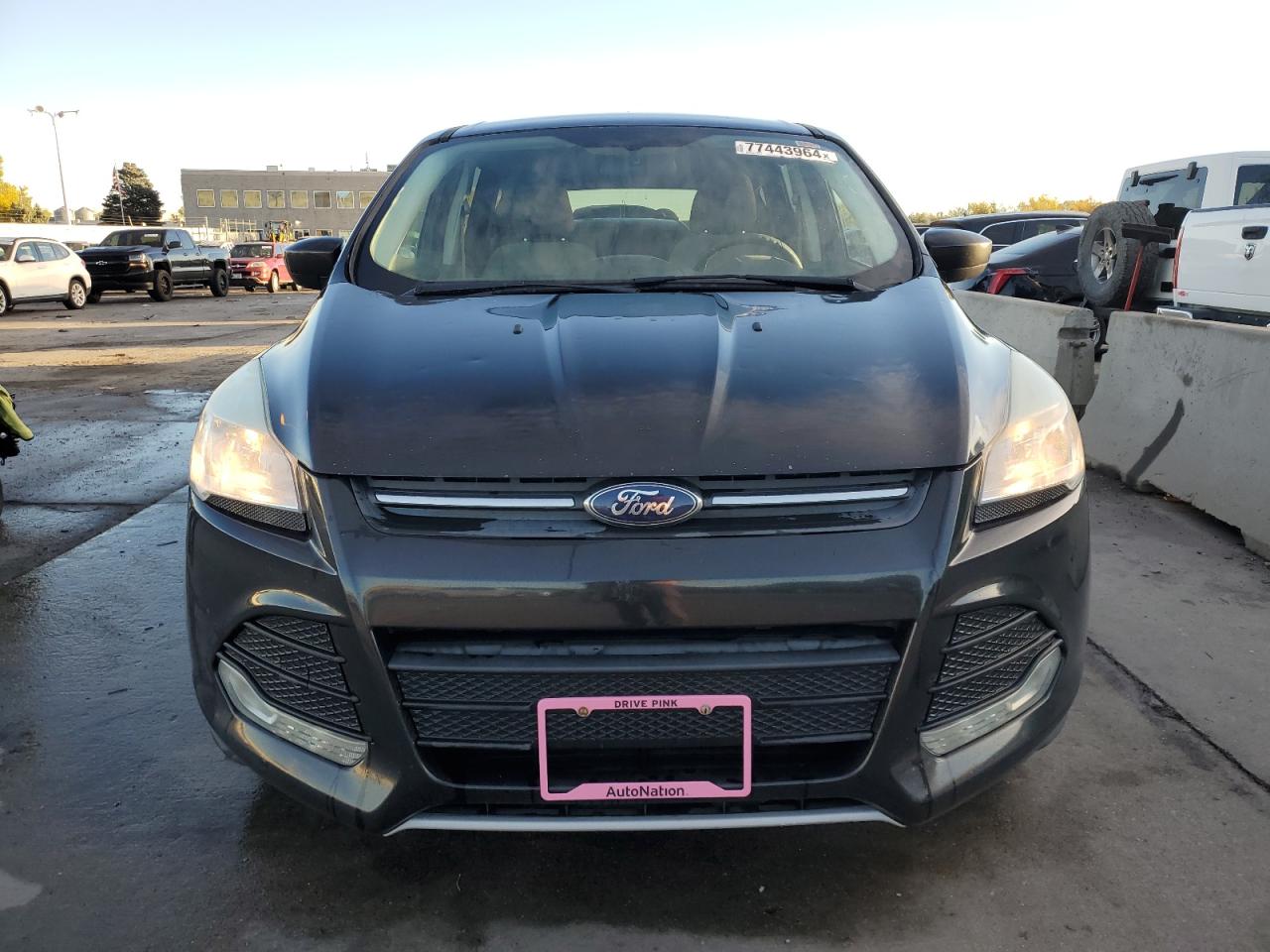 2014 Ford Escape VIN 1FMCU9GX2EUD10798 Copart auction photo, hail damage thumbnail 5