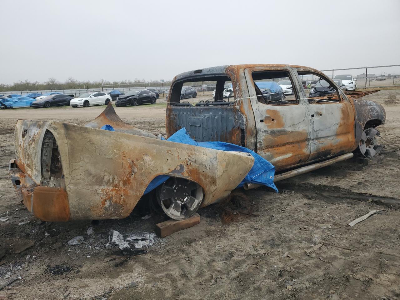 2006 Toyota Tacoma VIN 5TEKU72N76Z237012 Copart auction photo, burn damage thumbnail 3