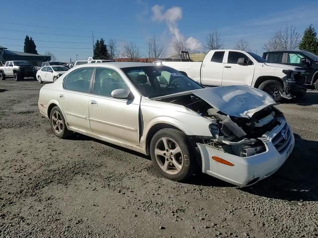2002 Nissan Maxima VIN JN1DA31D22T429601 Copart auction photo, front end damage thumbnail 11