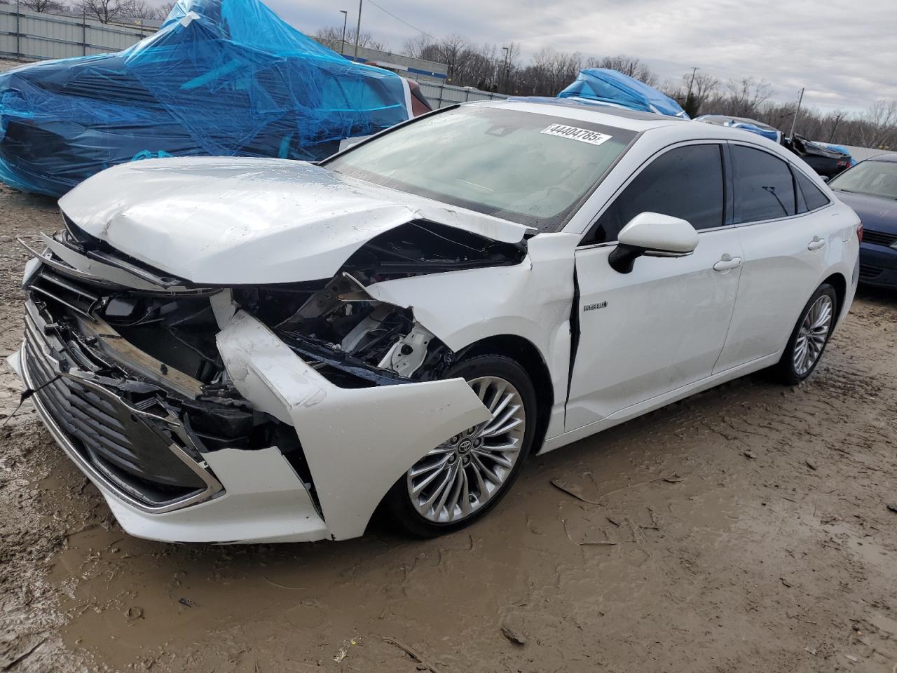 2019 Toyota Avalon VIN 4T1B21FB1KU004860