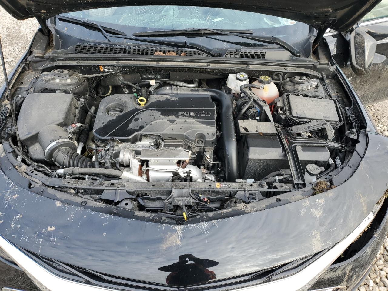 2023 Chevrolet Malibu VIN 1G1ZD5ST0PF114368 Copart auction photo, rollover damage thumbnail 12