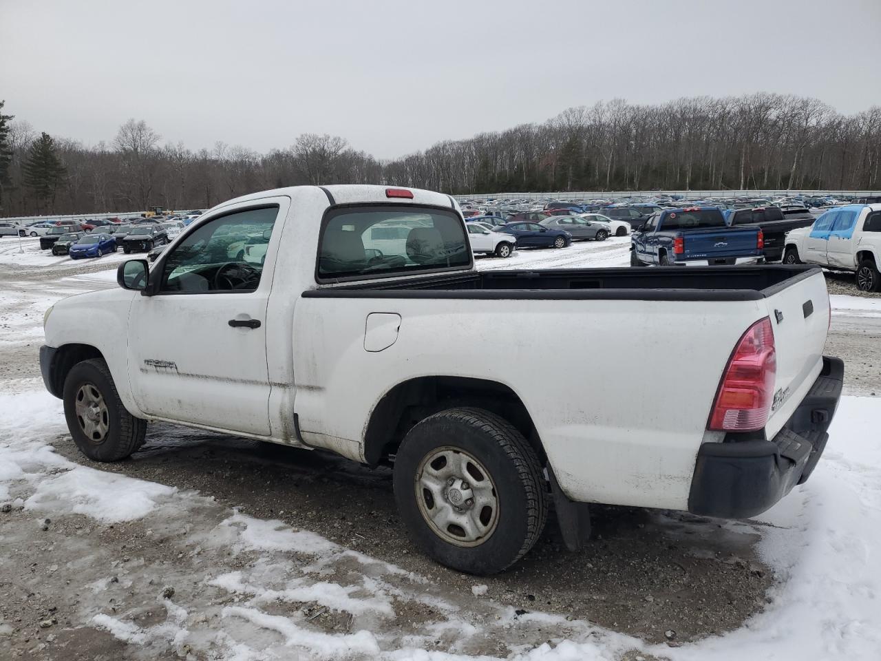 2008 Toyota Tacoma VIN 5TENX22N08Z550378 Copart auction photo, rear end damage thumbnail 2