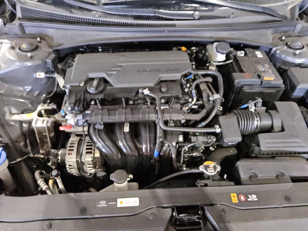 2024 Hyundai Elantra VIN KMHLM4DG9RU695497 Copart auction photo, side damage thumbnail 11