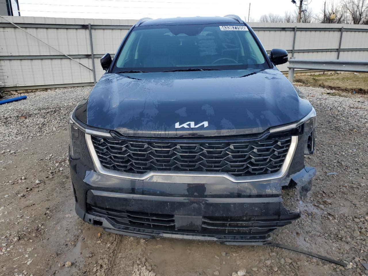 2024 KIA Sorento VIN 5XYRL4JC0RG278371 Copart auction photo, front end damage thumbnail 5
