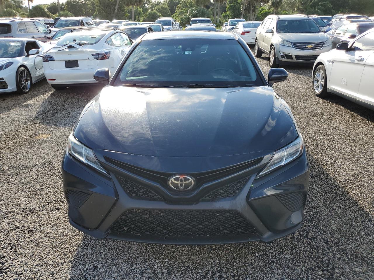 2019 Toyota Camry VIN 4T1B11HK3KU695177 Copart auction photo, water/flood damage thumbnail 5