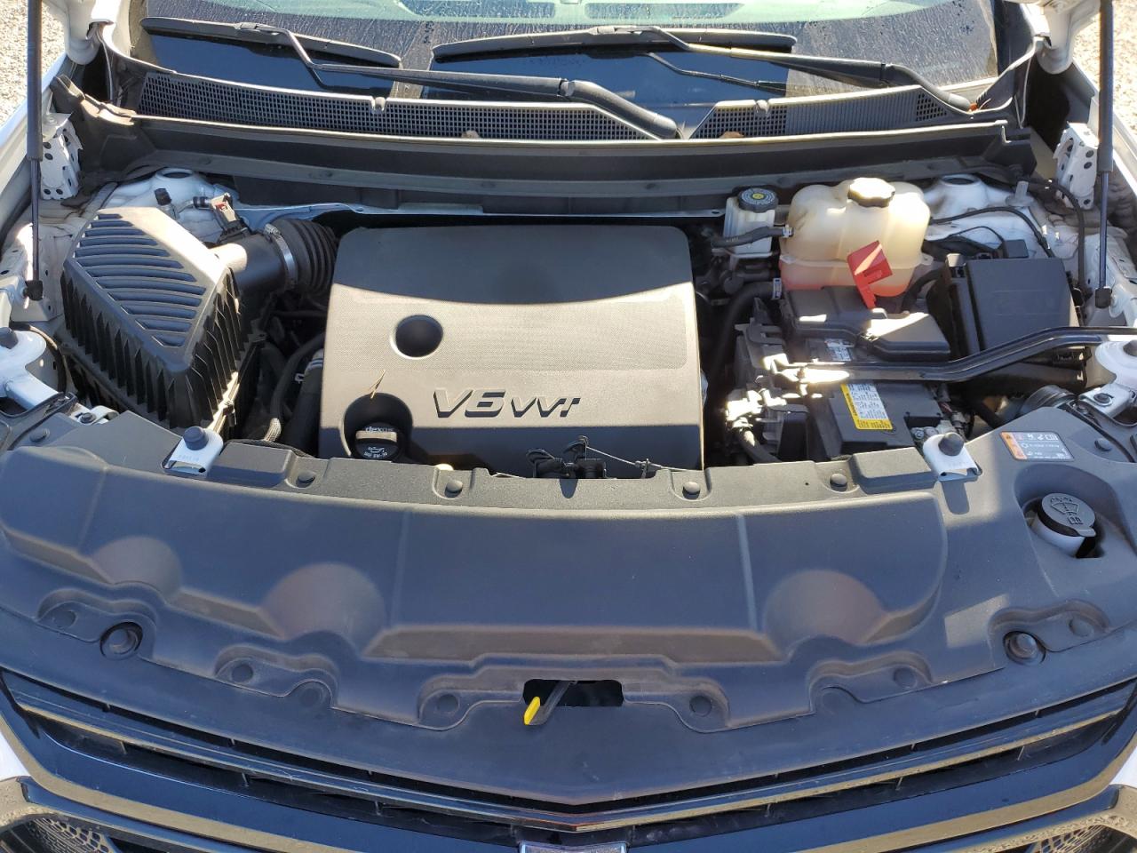 2019 Chevrolet Traverse VIN 1GNERGKW8KJ113835 Copart auction photo, side / undercarriage damage thumbnail 12