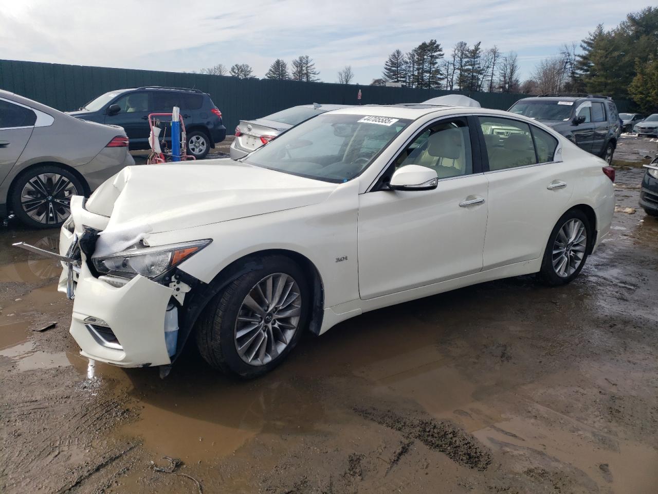2019 Infiniti Q50 VIN JN1EV7AR6KM555658