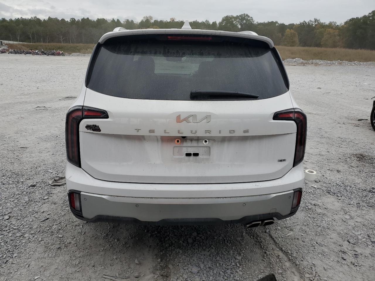 2024 KIA Telluride VIN 5XYP5DGC0RG426592 Copart auction photo, front end / minor dent/scratches damage thumbnail 6