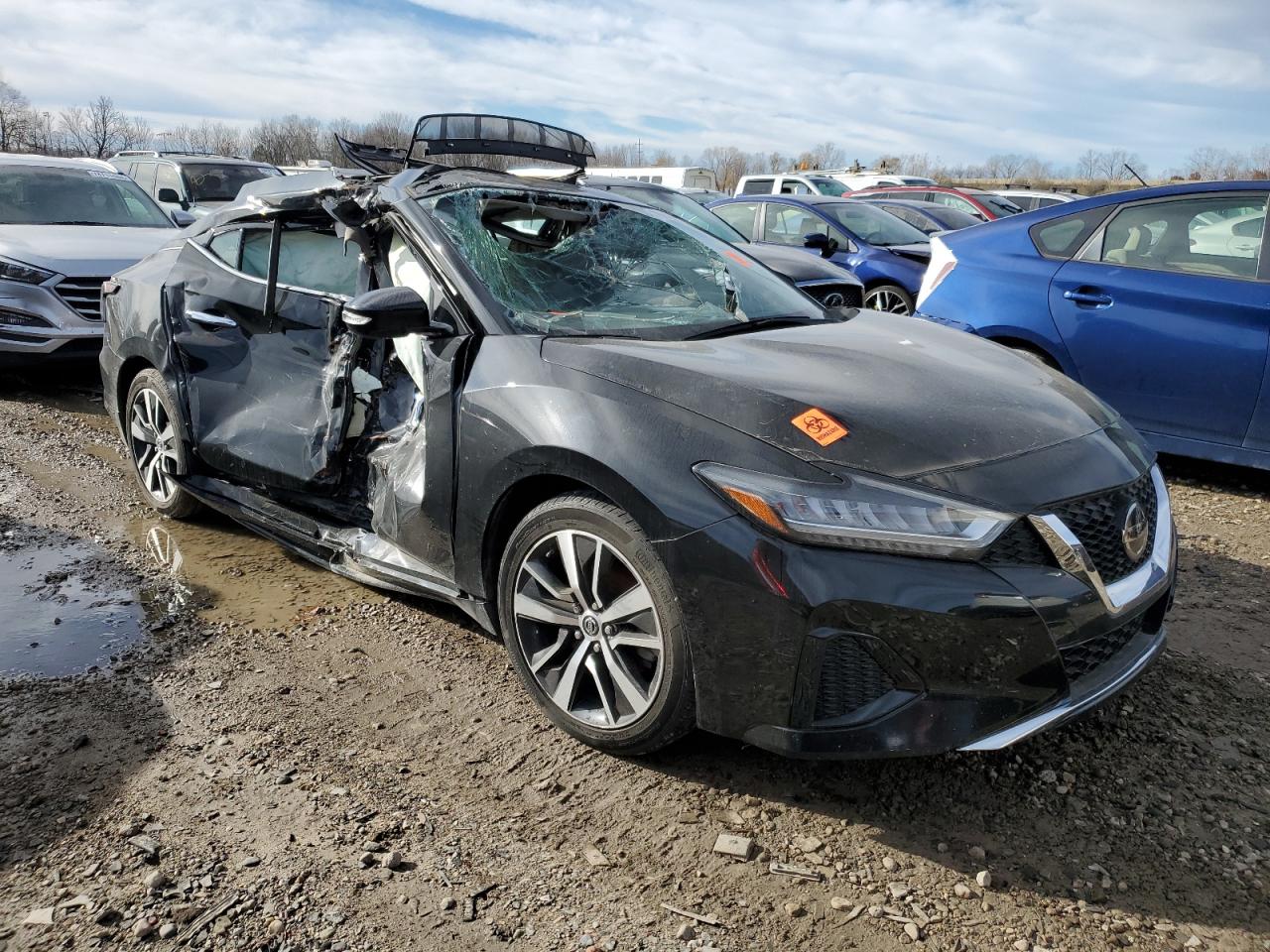 2019 Nissan Maxima VIN 1N4AA6AV1KC361758 Copart auction photo, side / top/roof damage thumbnail 4