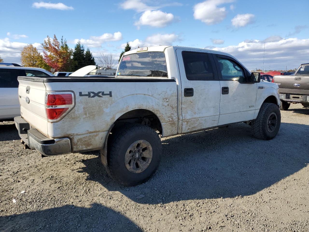 2013 Ford F-150 VIN 1FTFW1ET3DFB92583 Copart auction photo, minor dent/scratches damage thumbnail 3