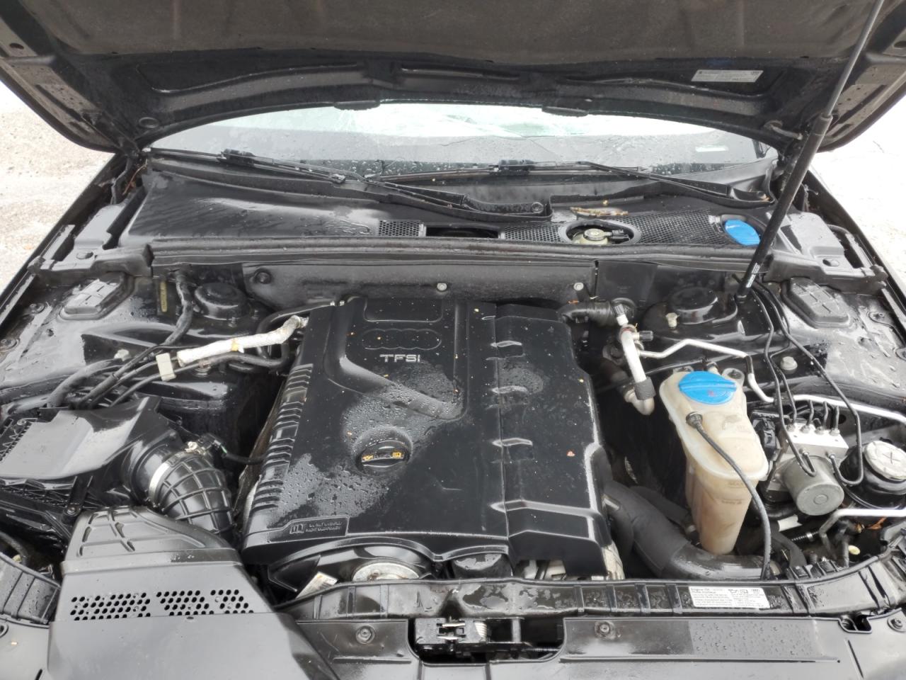 2009 Audi A4 VIN WAUMF78KX9N022339 Copart auction photo, top/roof damage thumbnail 11