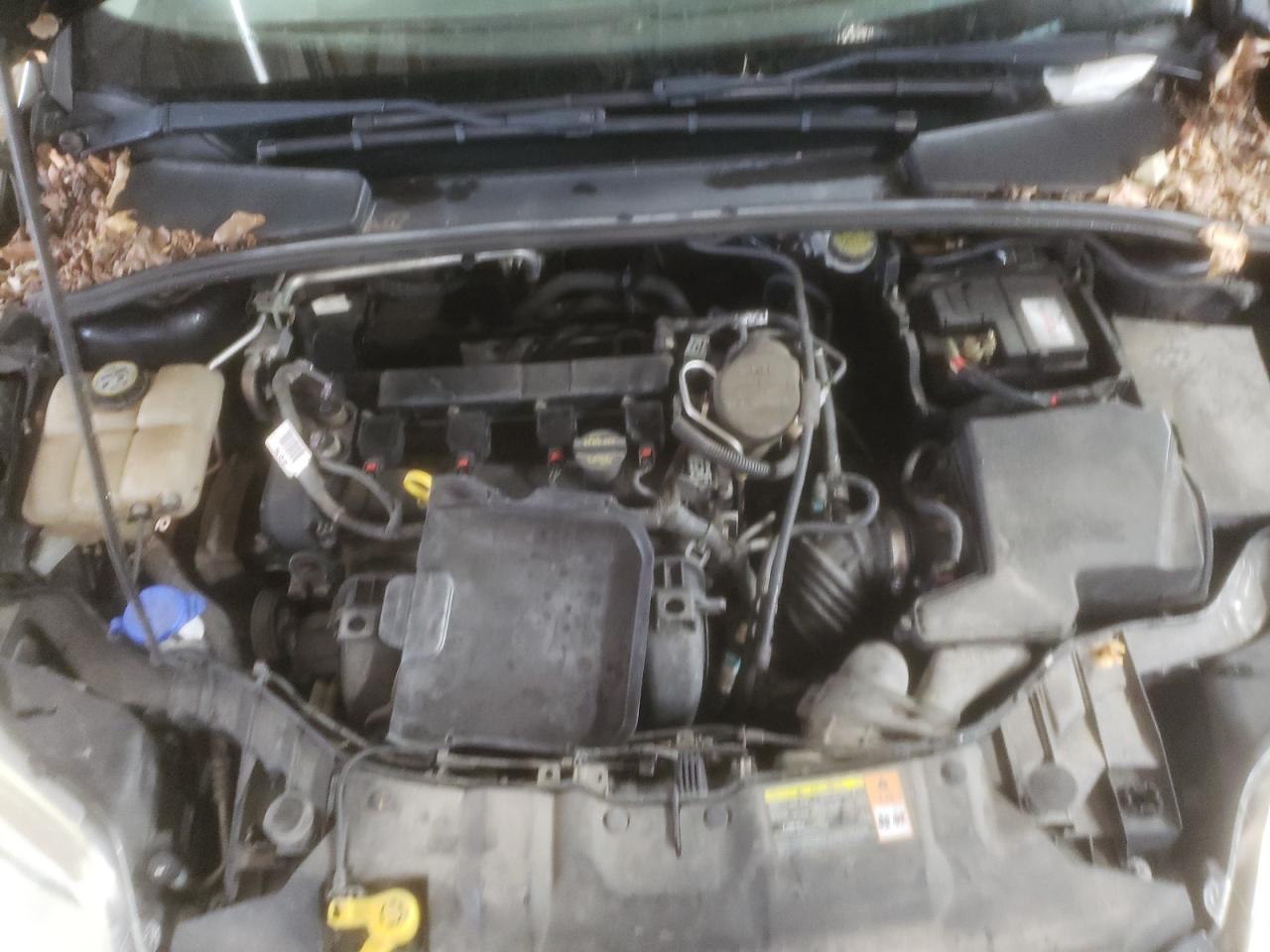 2013 Ford Focus VIN 1FADP3K27DL204009 Copart auction photo, rear end damage thumbnail 11