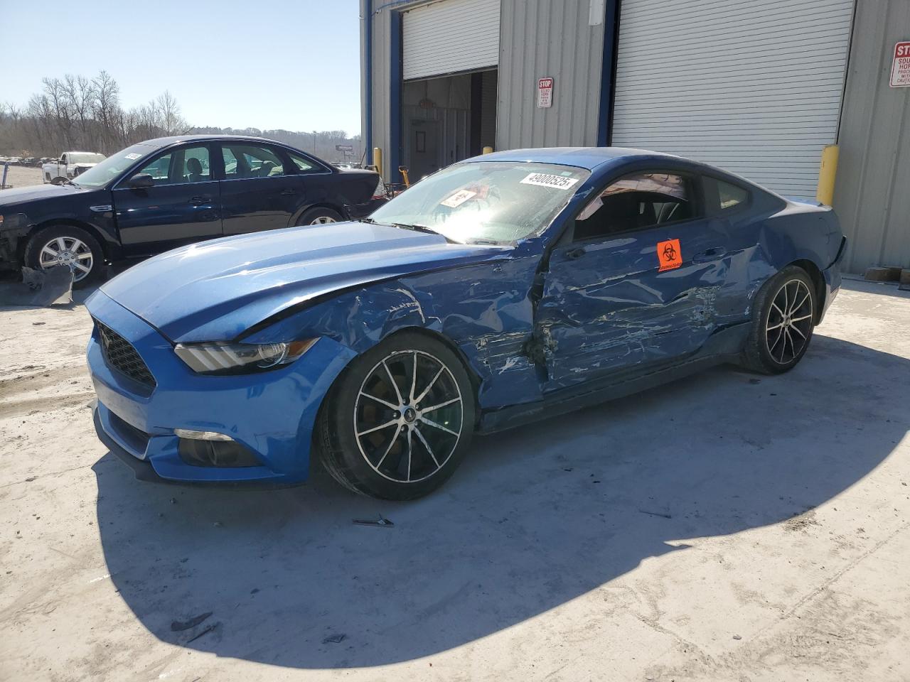 2017 Ford Mustang VIN 1FA6P8TH0H5329372