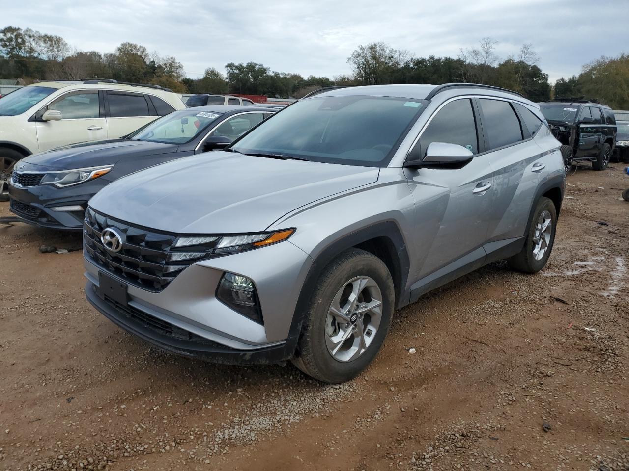 2024 Hyundai Tucson VIN 5NMJB3DEXRH384906