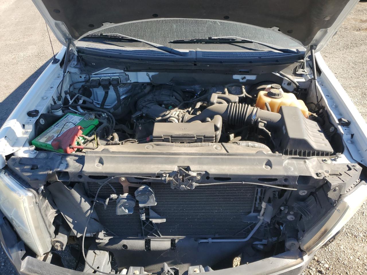 2013 Ford F-150 VIN 1FTMF1CM7DKF00493 Copart auction photo, front end / rear end damage thumbnail 13