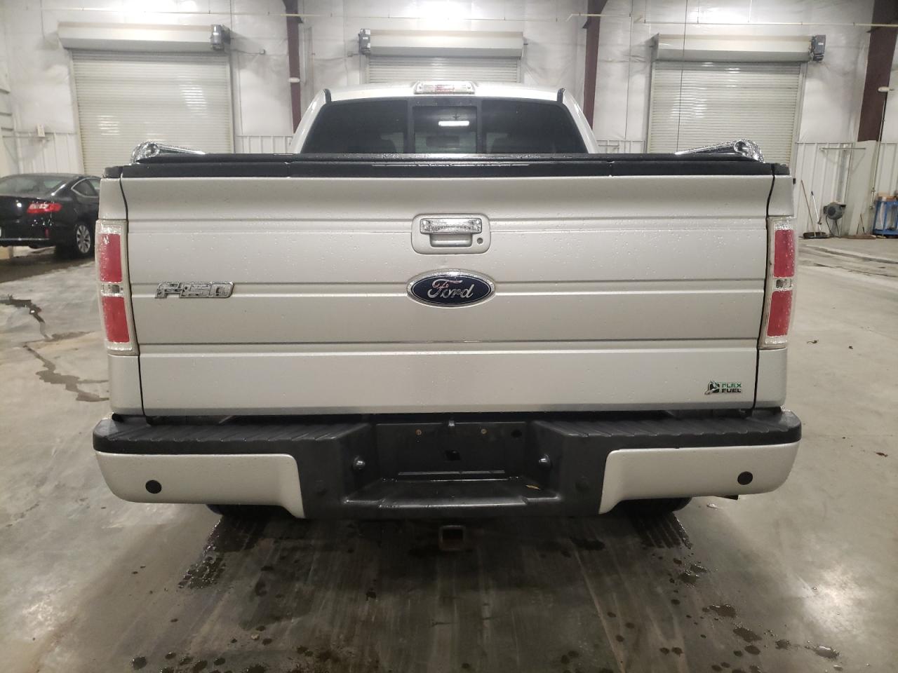2010 Ford F-150 VIN 1FTFX1EV0AFA07514 Copart auction photo, hail damage thumbnail 6