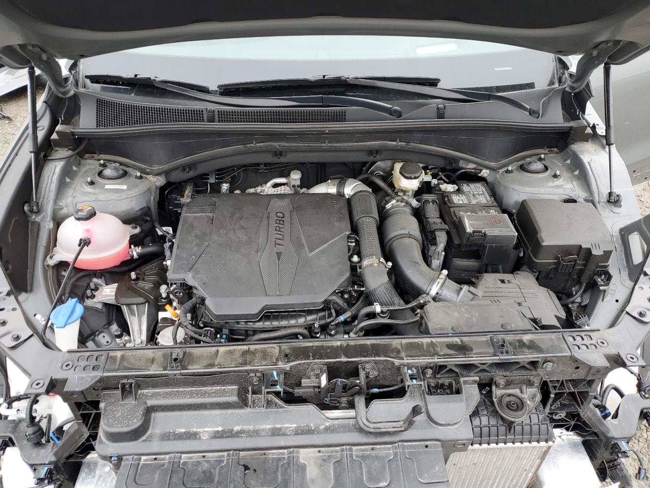 2023 Hyundai Santa Fe VIN 5NMS5DAL2PH643292 Copart auction photo, front end / rear end damage thumbnail 12