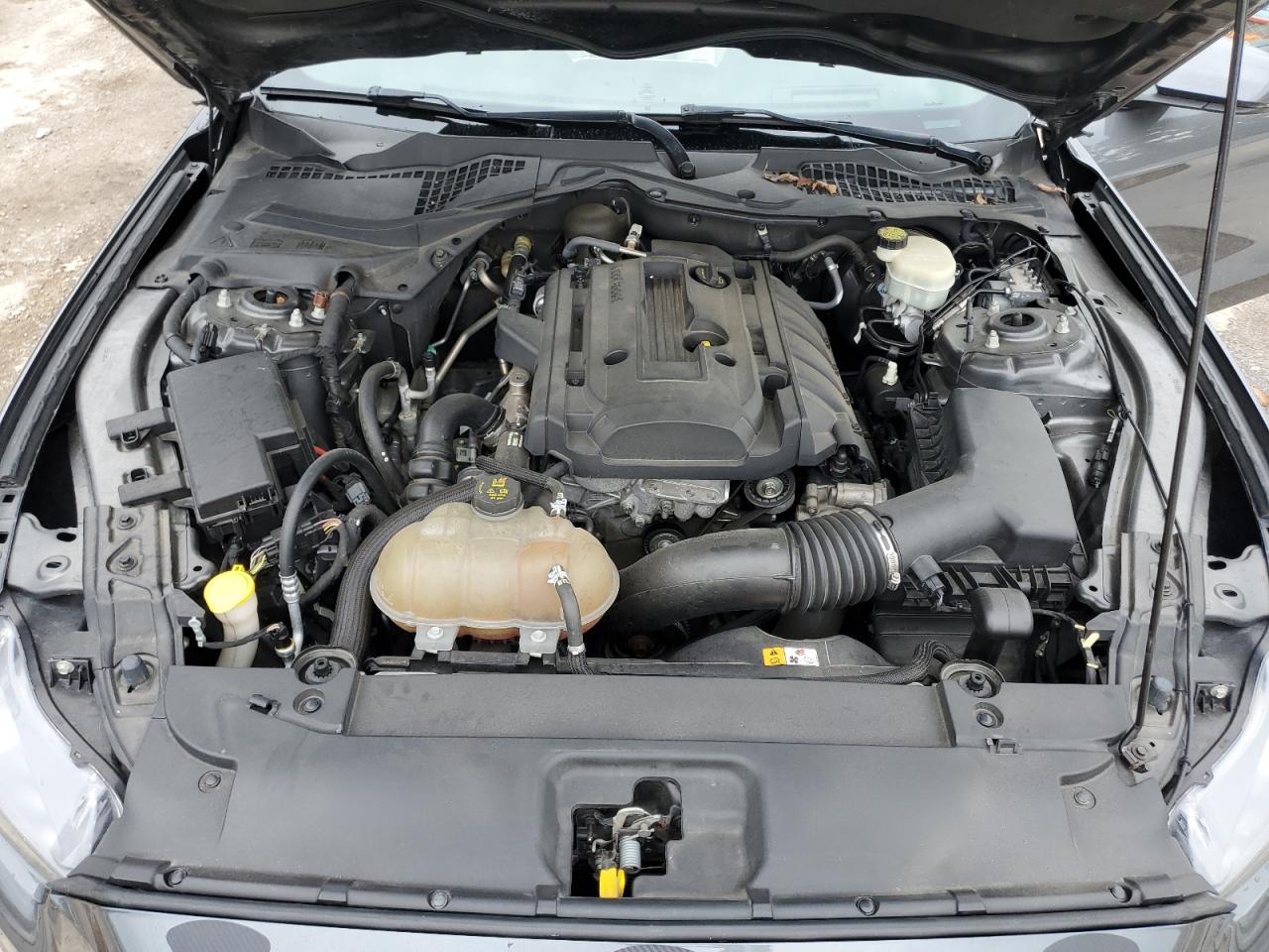 2015 Ford Mustang VIN 1FA6P8TH3F5345417 Copart auction photo, all over damage thumbnail 11