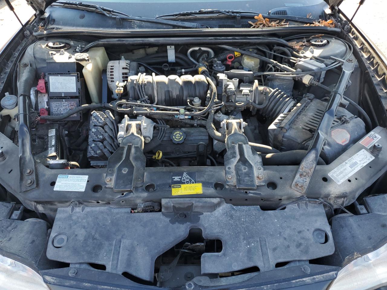 2001 Chevrolet Monte Carlo VIN 2G1WX15KX19313384 Copart auction photo, hail damage thumbnail 11