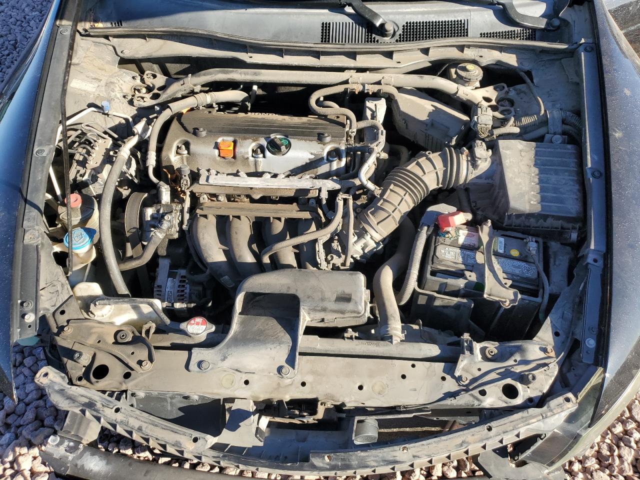 2010 Honda Accord VIN 1HGCS1B75AA020989 Copart auction photo, front end damage thumbnail 11