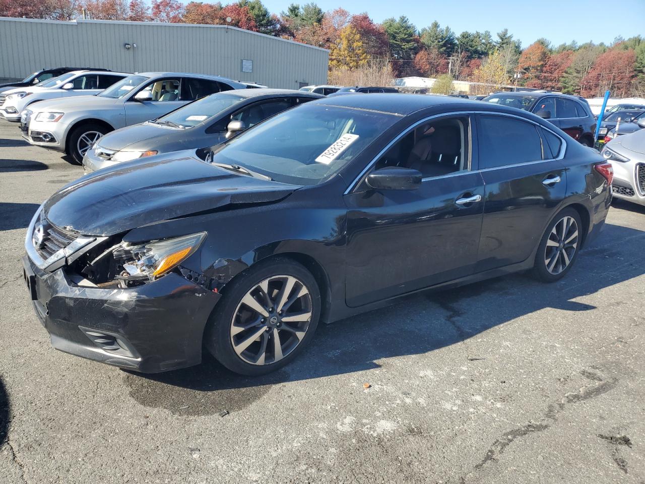 2016 Nissan Altima VIN 1N4AL3AP1GC241105