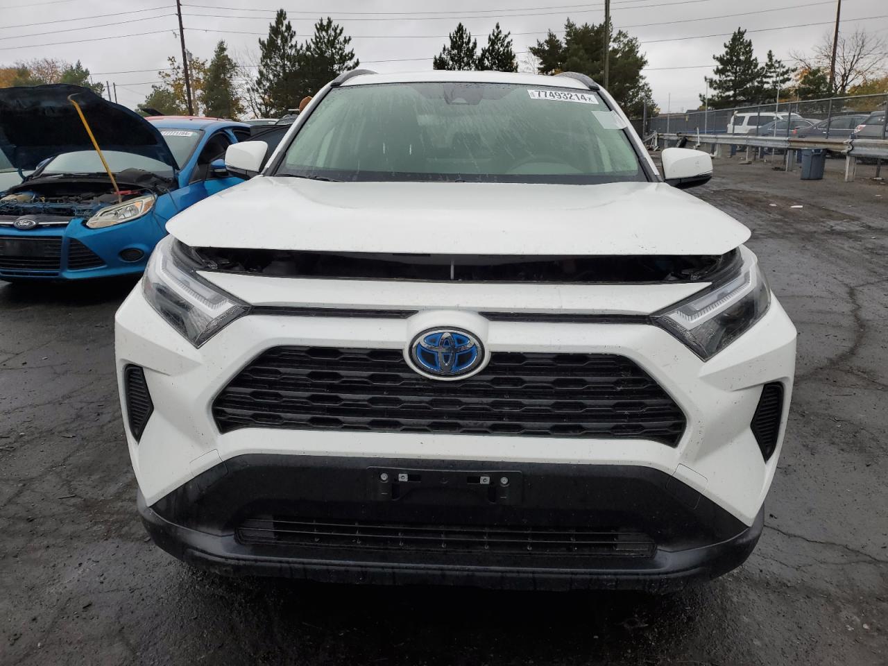 2023 Toyota RAV 4 VIN JTMMWRFV3PD577678 Copart auction photo, rear end damage thumbnail 5