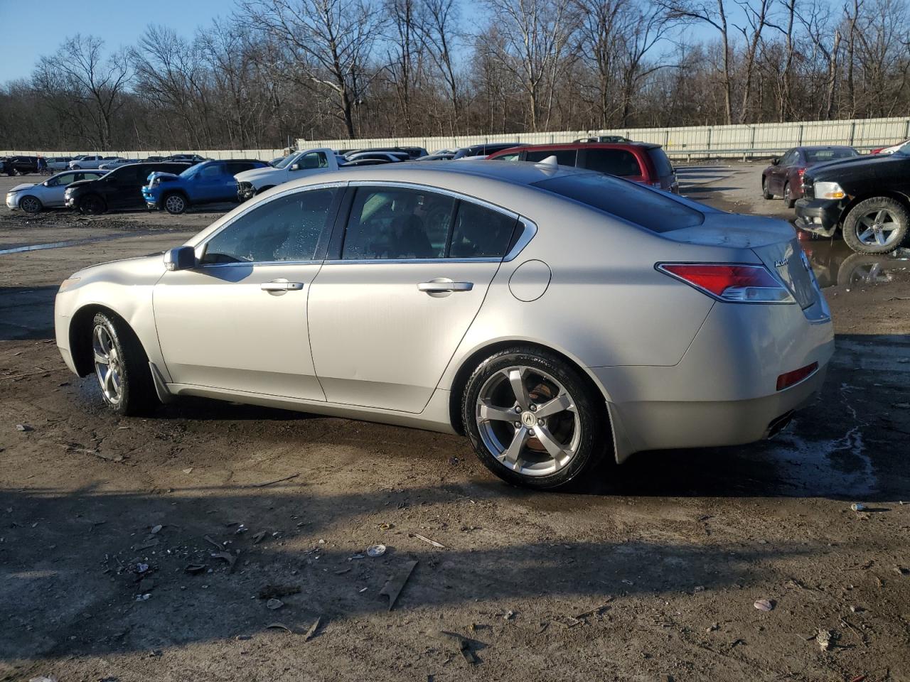 2009 Acura TL VIN 19UUA96259A004694 Copart auction photo, rear end / side damage thumbnail 2