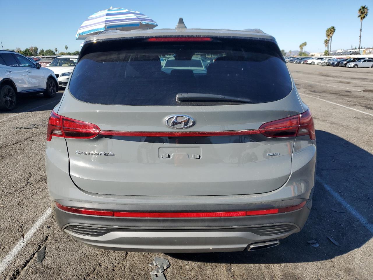 2021 Hyundai Santa Fe VIN 5NMS1DAJ3MH356047 Copart auction photo, front end / minor dent/scratches damage thumbnail 6