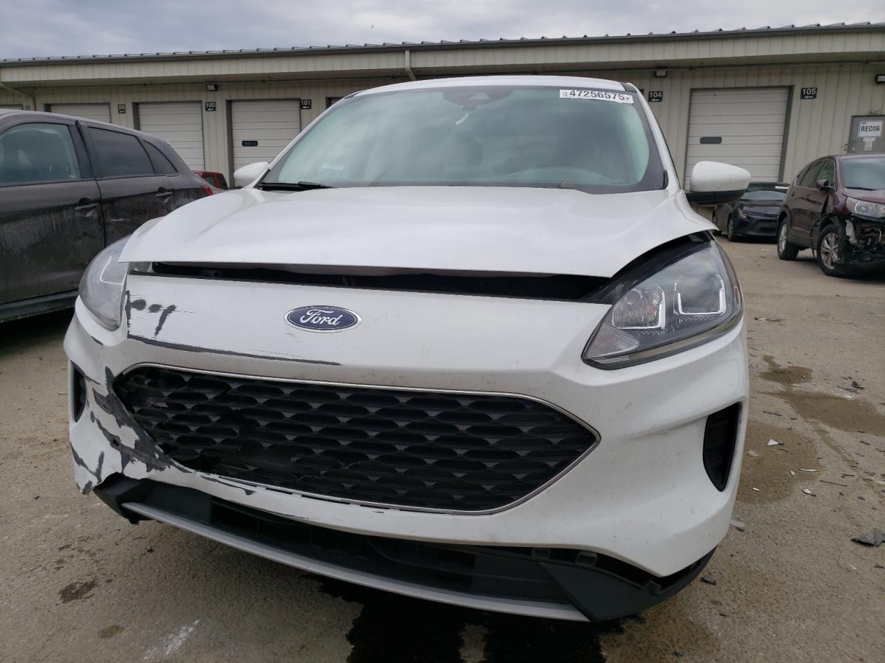 2021 Ford Escape VIN 1FMCU0G66MUB28961 Copart auction photo, front end damage thumbnail 5