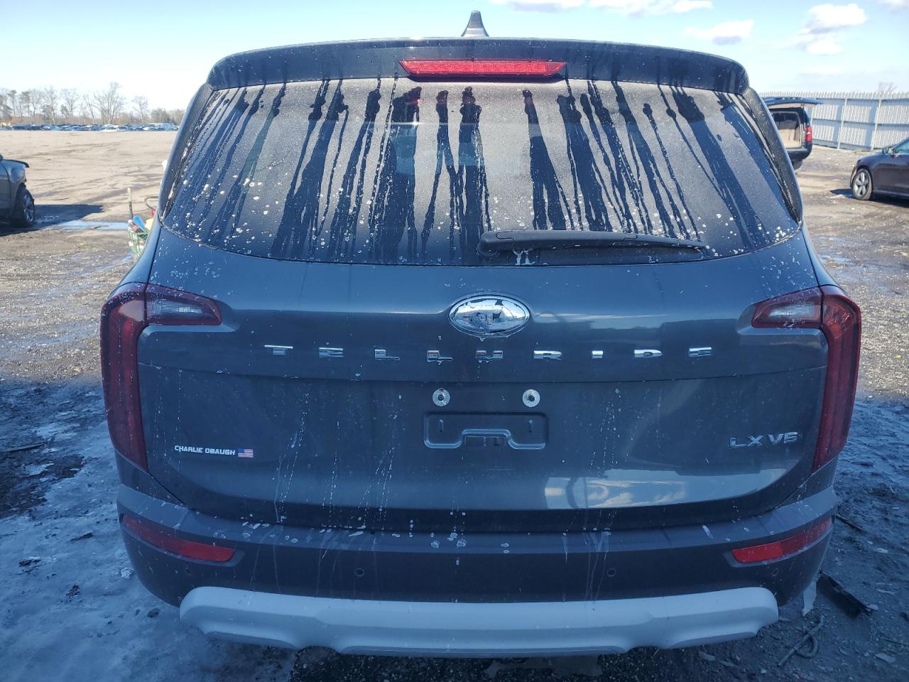 2020 KIA Telluride VIN 5XYP24HC0LG017314 Copart auction photo, front end damage thumbnail 6