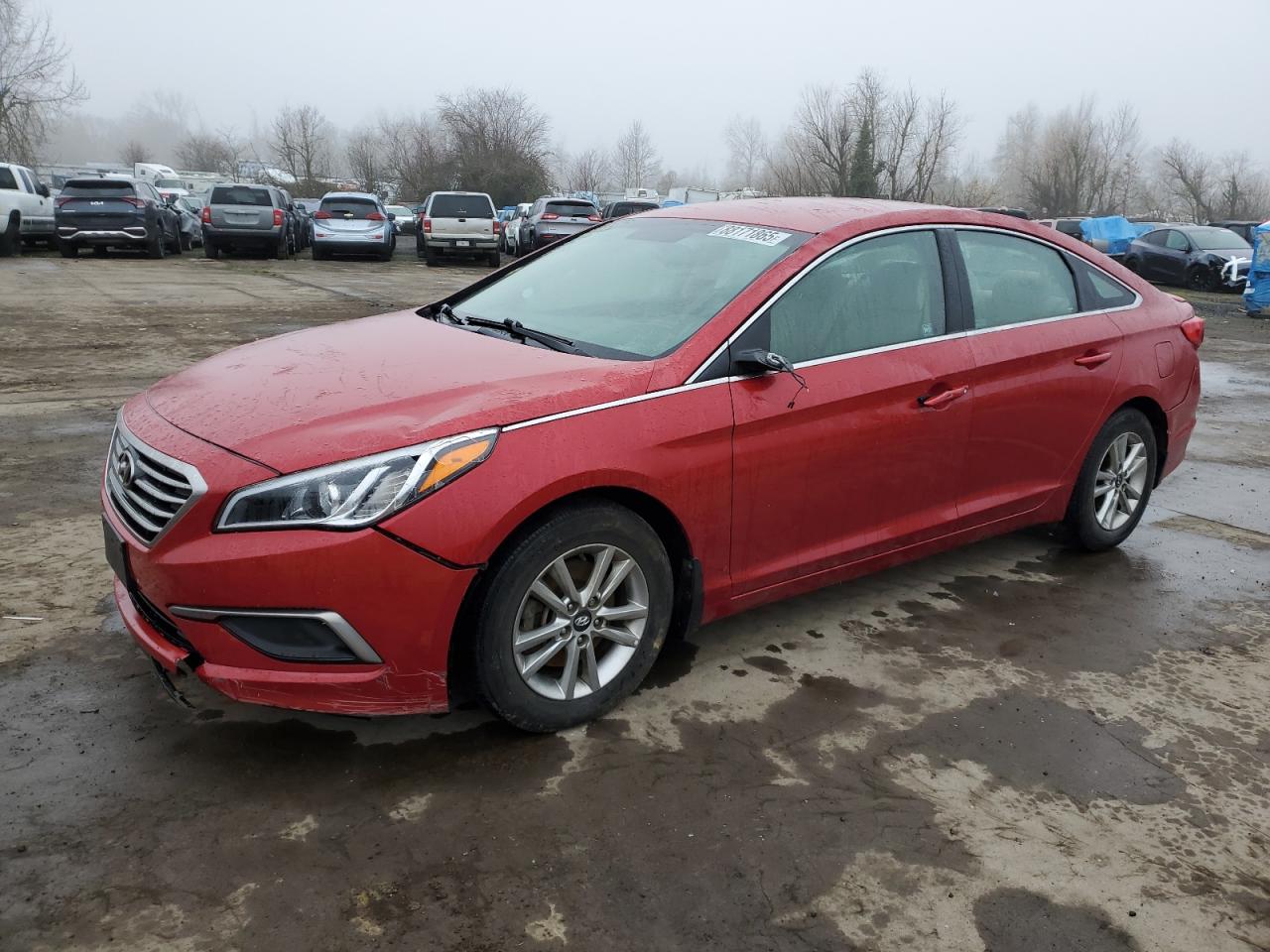 2017 Hyundai Sonata VIN 5NPE24AF1HH589214