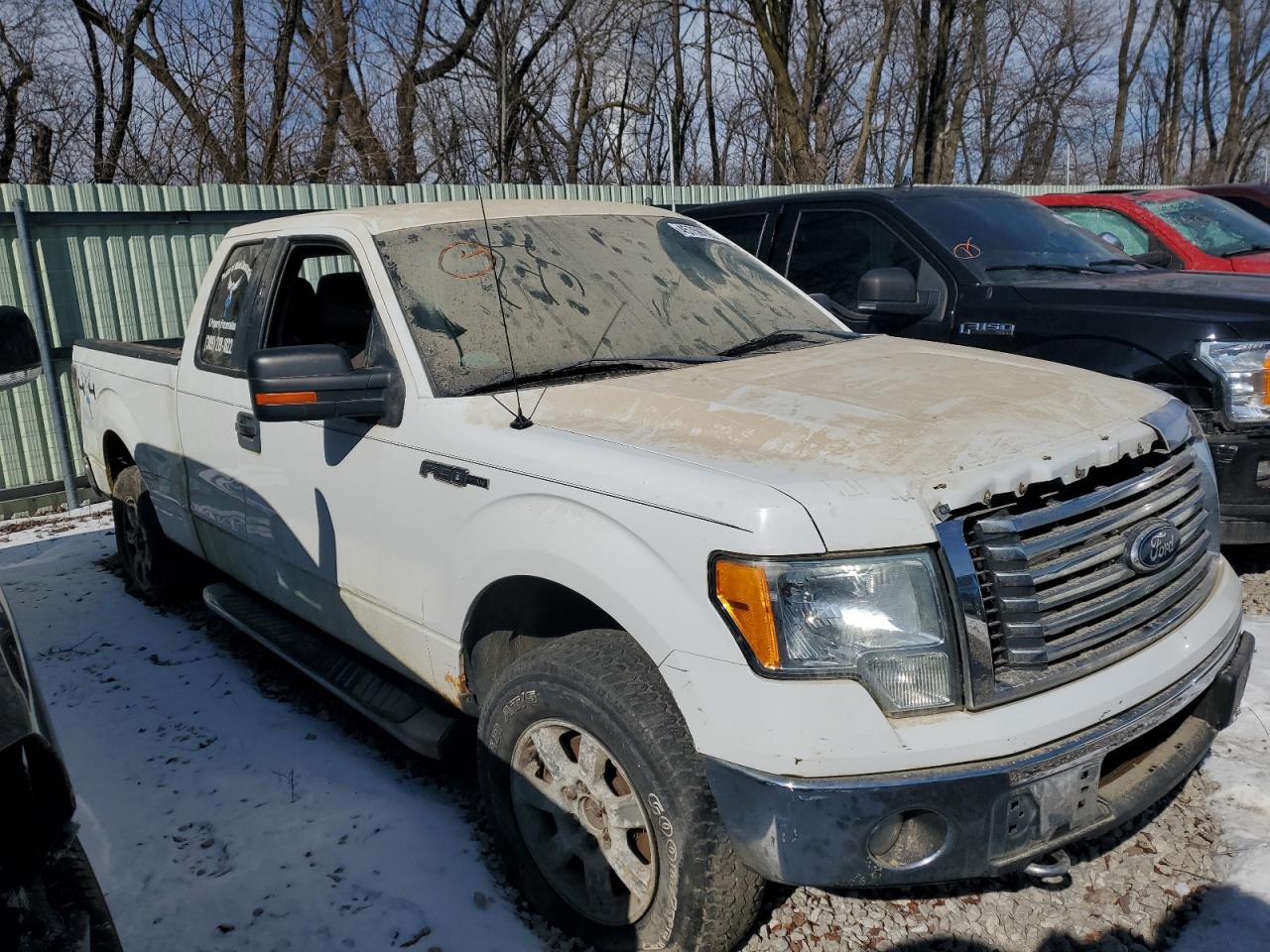2010 Ford F-150 VIN 1FTEX1E86AFD42041 Copart auction photo, all over damage thumbnail 4