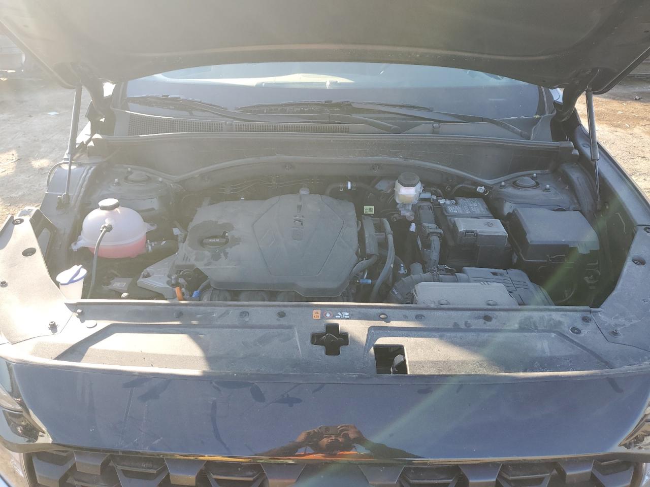 2023 Hyundai Santa Fe VIN 5NMS1DAJ2PH605913 Copart auction photo, side damage thumbnail 12