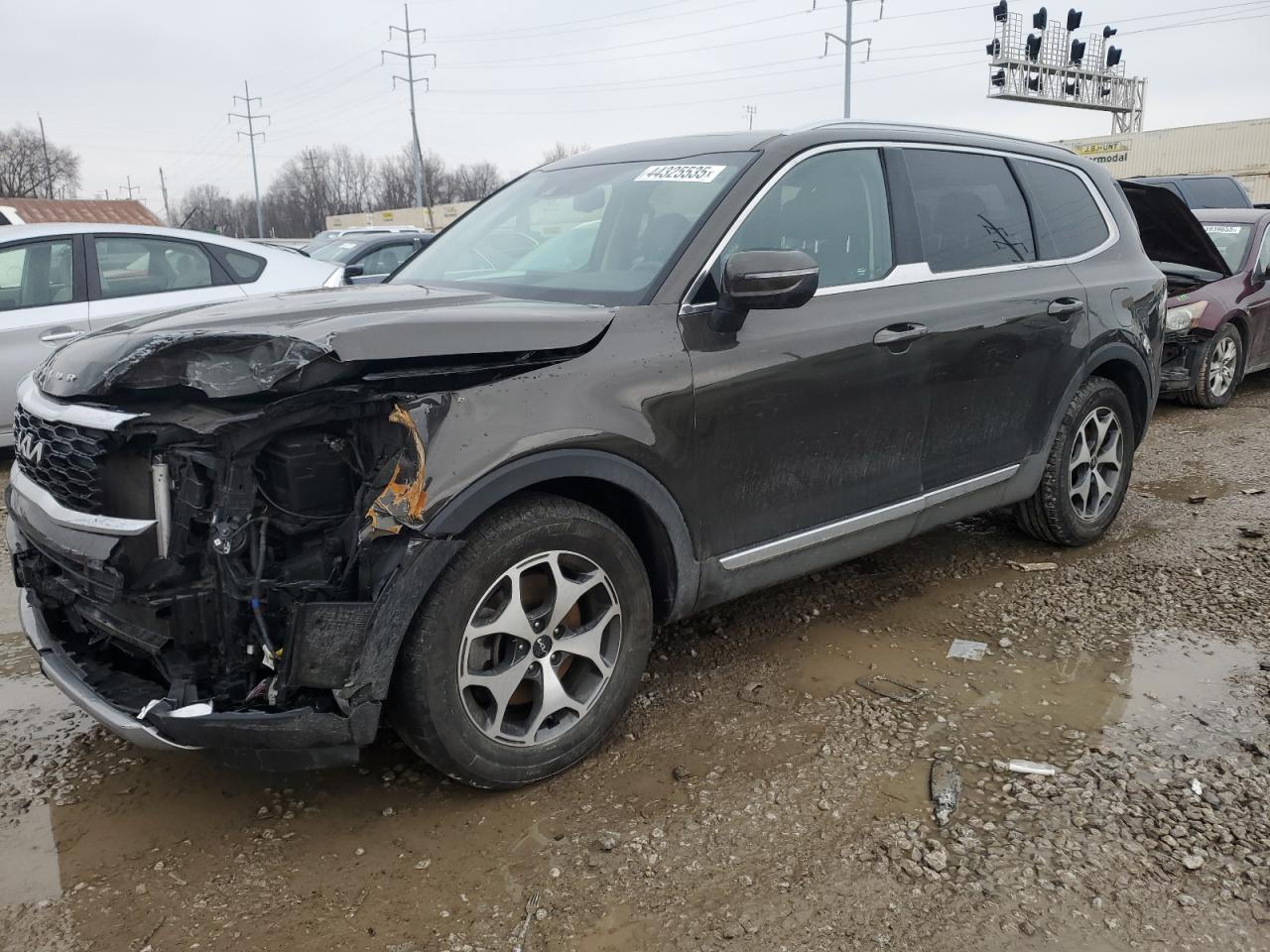 2022 KIA Telluride VIN 5XYP3DHC1NG250148