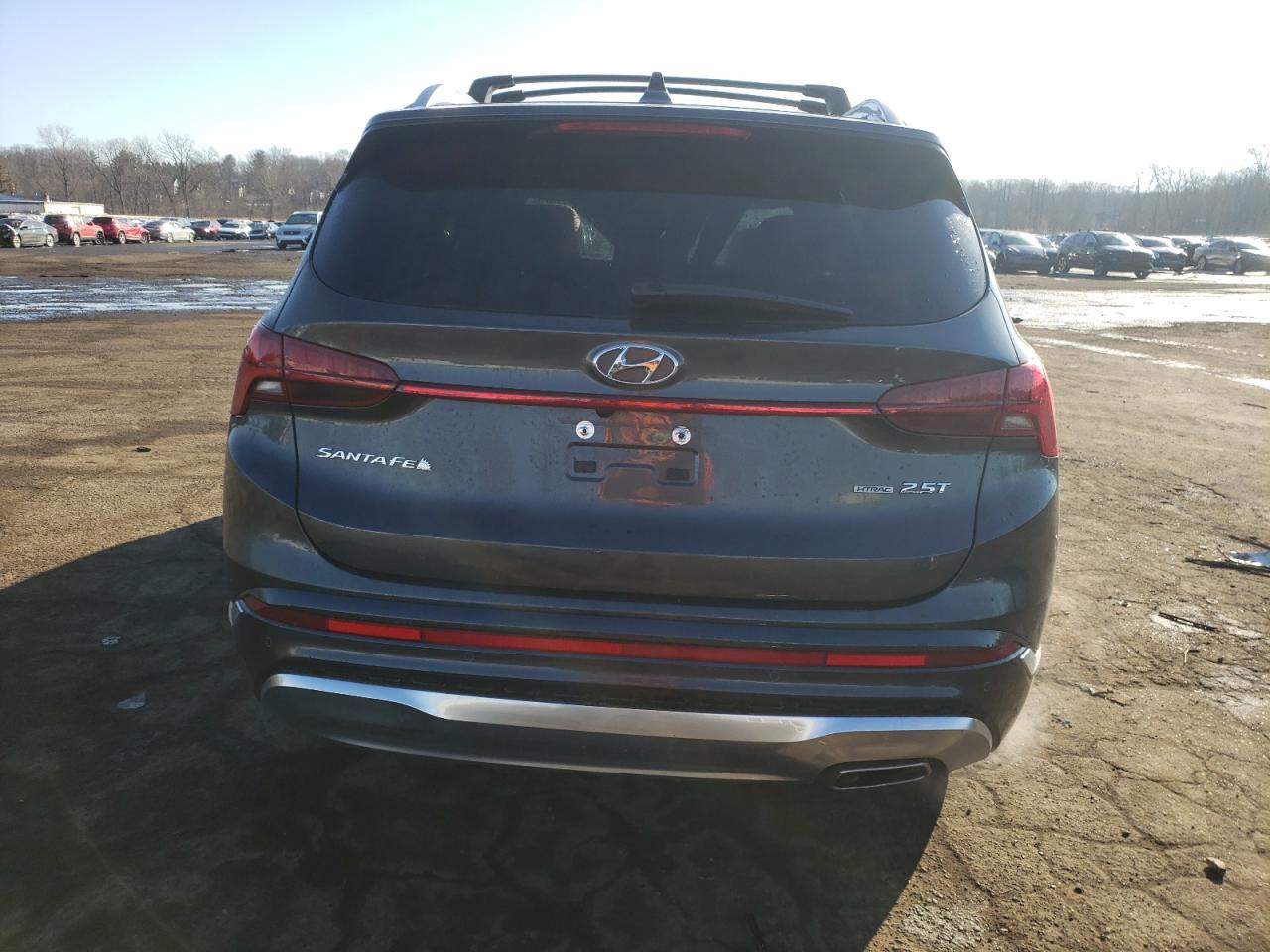 2023 Hyundai Santa Fe VIN 5NMS5DAL6PH619450 Copart auction photo, side / minor dent/scratches damage thumbnail 6