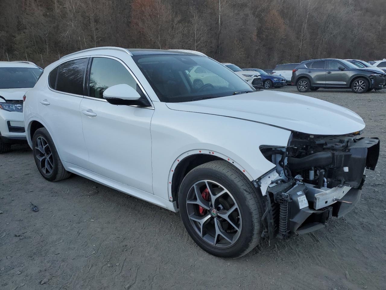 2020 Alfa Romeo Stelvio VIN ZASPAKBN7L7C76386 Copart auction photo, front end / minor dent/scratches damage thumbnail 4
