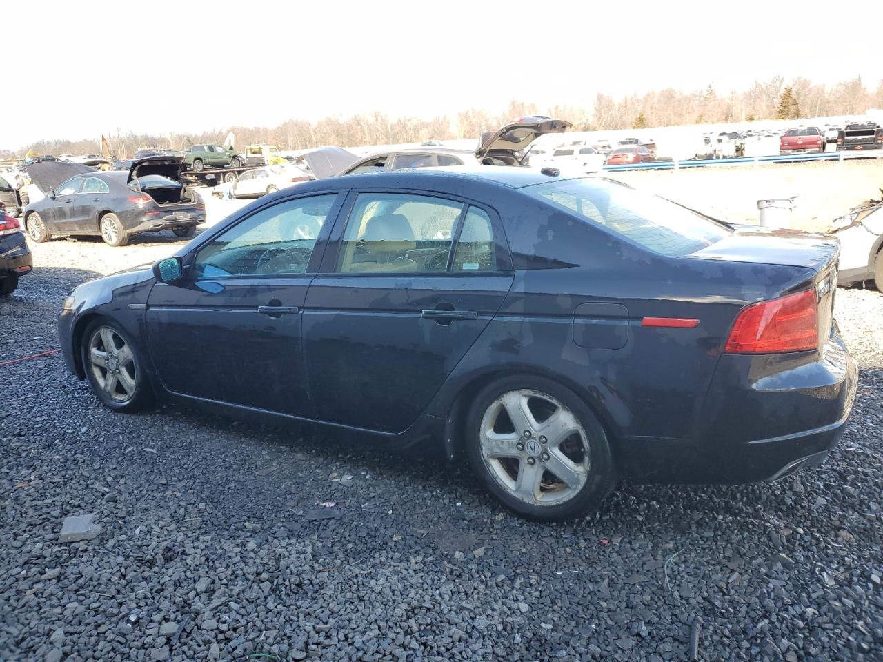 2006 Acura TL VIN 19UUA66286A067251 Copart auction photo, rear end damage thumbnail 2