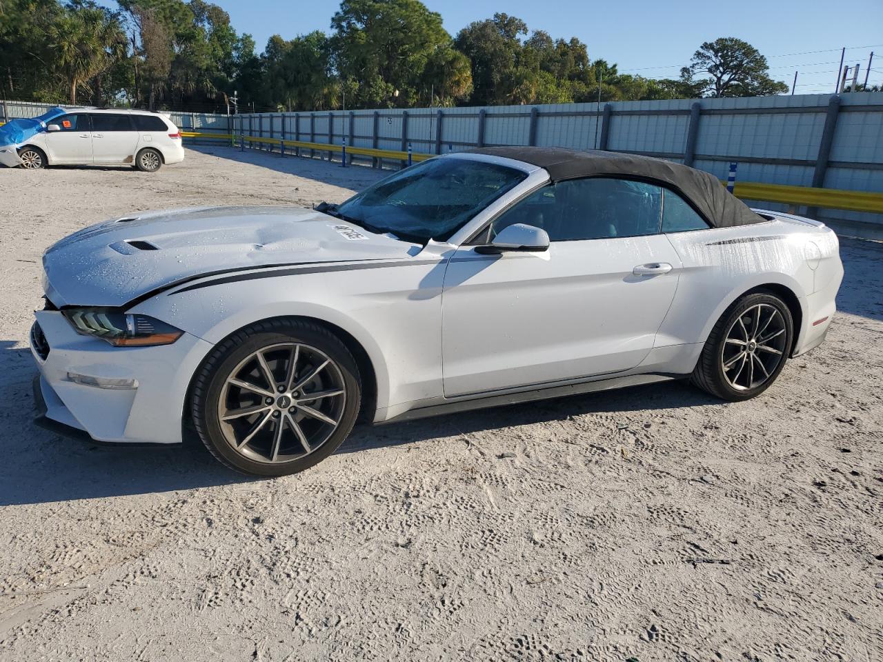 2019 Ford Mustang VIN 1FATP8UH5K5149961