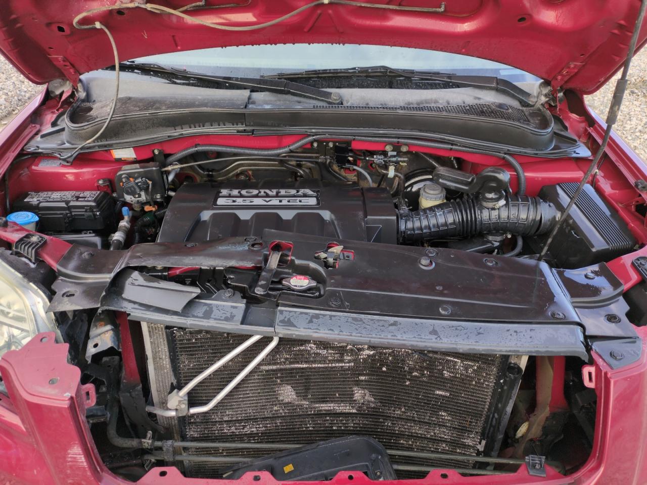 2006 Honda Pilot VIN 2HKYF18616H528643 Copart auction photo, front end / side damage thumbnail 11