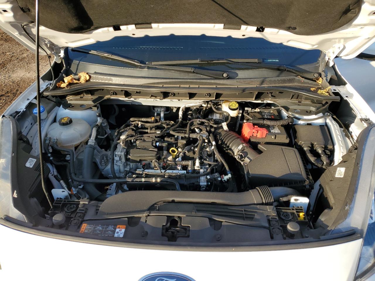 2021 Ford Escape VIN 1FMCU9G64MUA18026 Copart auction photo, rear end damage thumbnail 13