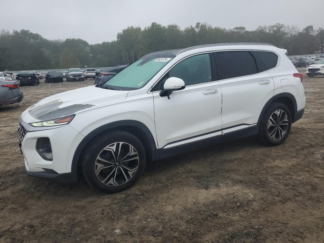 2019 Hyundai Santa Fe VIN 5NMS5CAA7KH027217