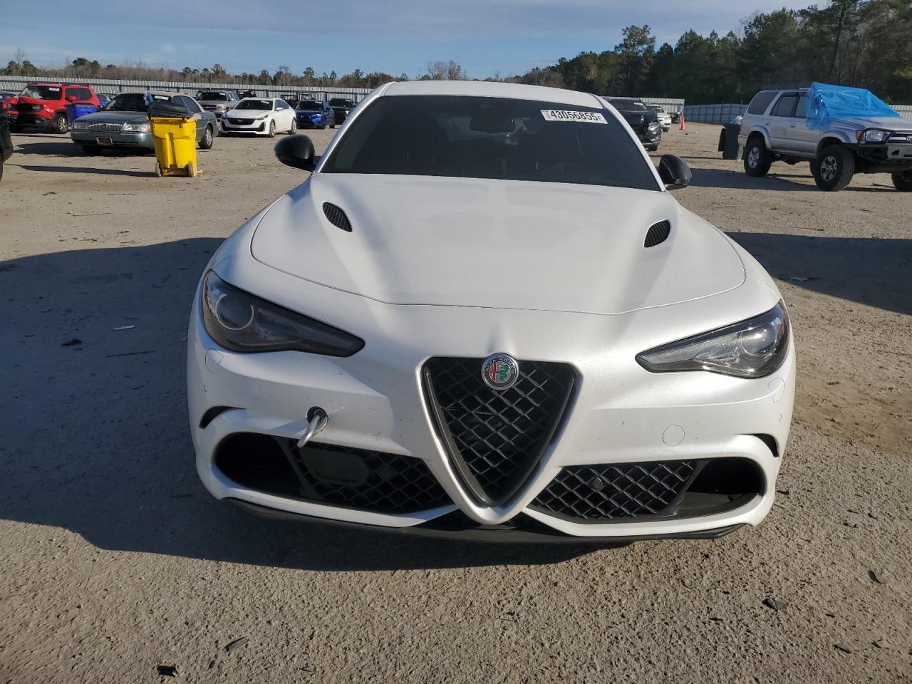 2019 Alfa Romeo Giulia VIN ZARFAMEV1K7613635 Copart auction photo, side damage thumbnail 5