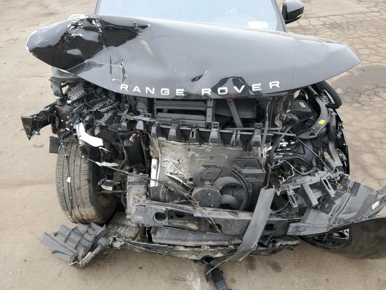 2020 Land Rover Range Rover VIN SALWR2SU6LA717974 Copart auction photo, front end / side damage thumbnail 13