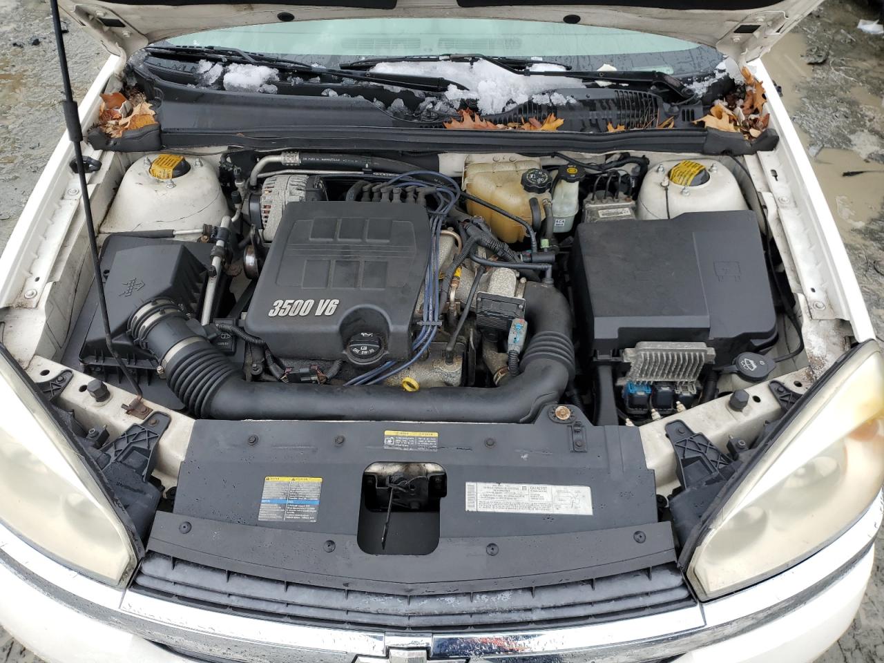 2005 Chevrolet Malibu VIN 1G1ZT52835F336012 Copart auction photo, front end damage thumbnail 11