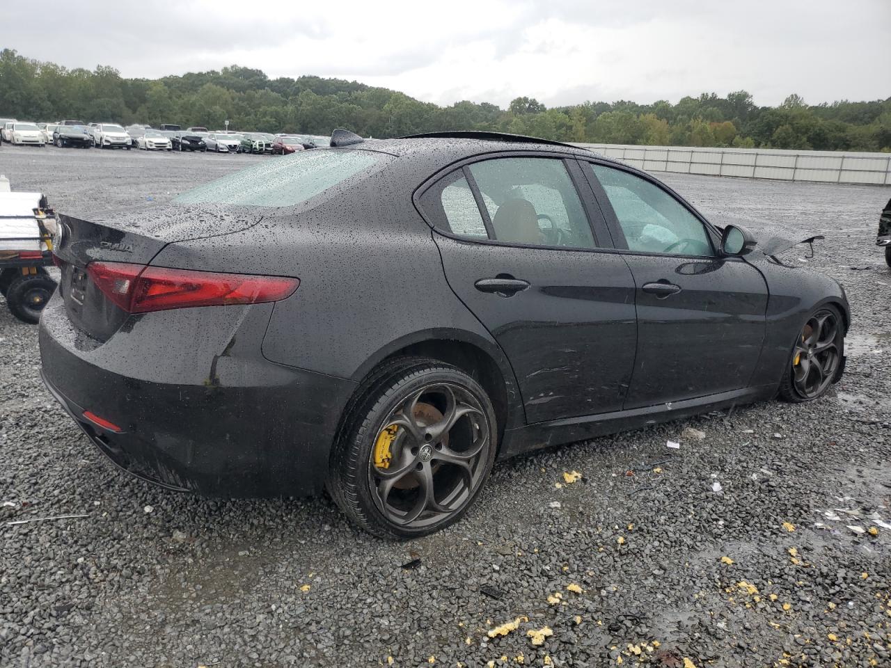 2019 Alfa Romeo Giulia VIN ZARFAMBN1K7607399 Copart auction photo, front end / rear end damage thumbnail 3