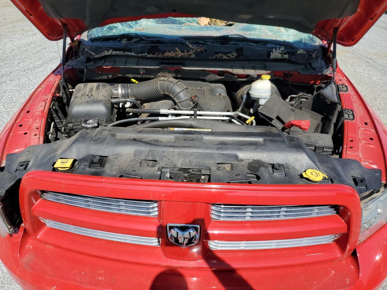 2011 Dodge RAM VIN 1D7RB1GT7BS656930 Copart auction photo, top/roof damage thumbnail 11