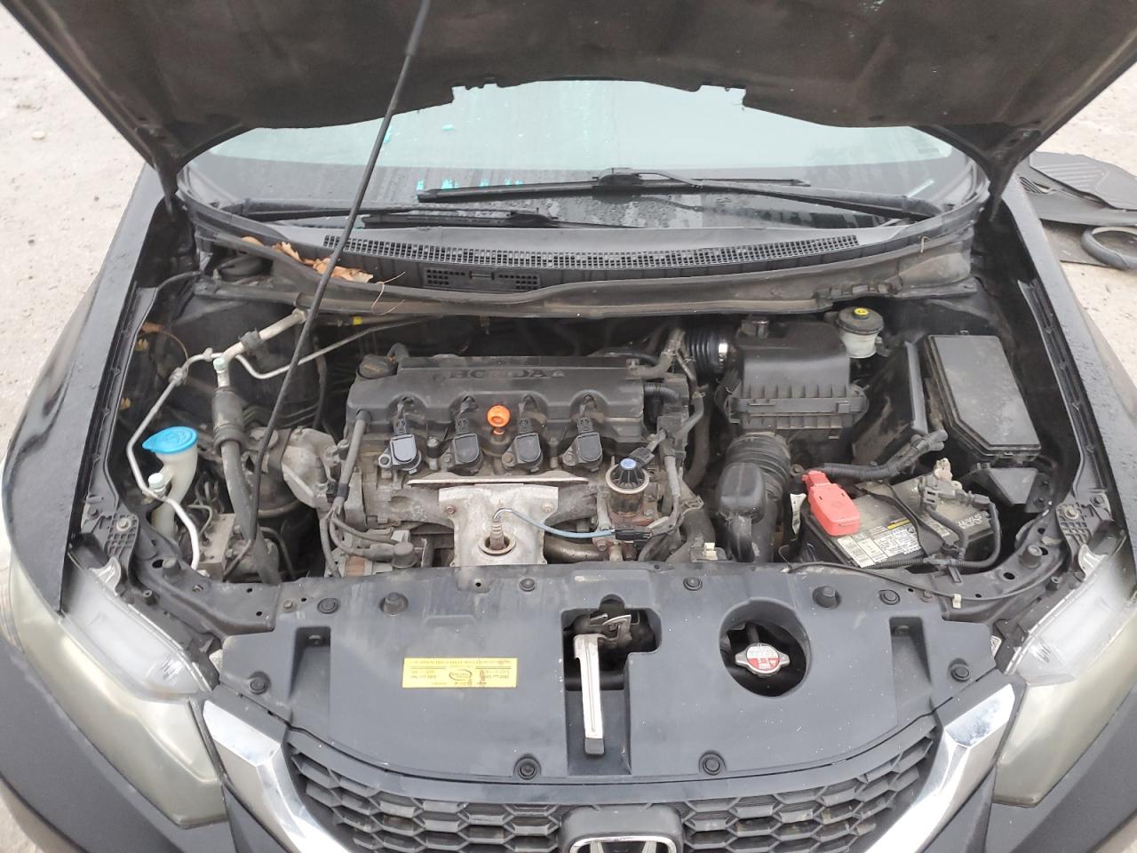 2013 Honda Civic VIN 19XFB2F50DE099287 Copart auction photo, side damage thumbnail 13