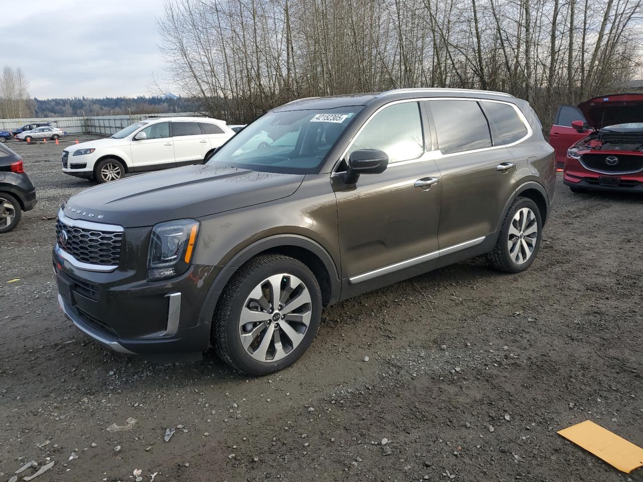 2020 KIA Telluride VIN 5XYP6DHC3LG065717